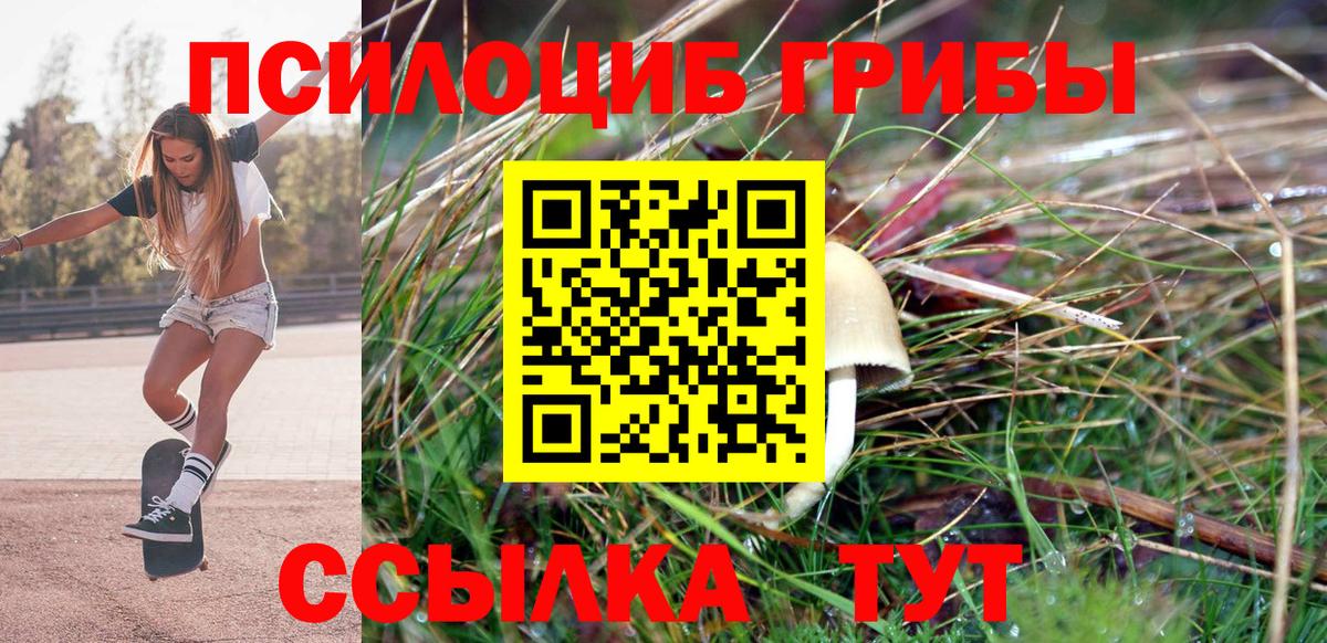 Псилоцибиновые грибы MAGIC MUSHROOMS  Вход с VPN  купить  сайты  Всеволожск 