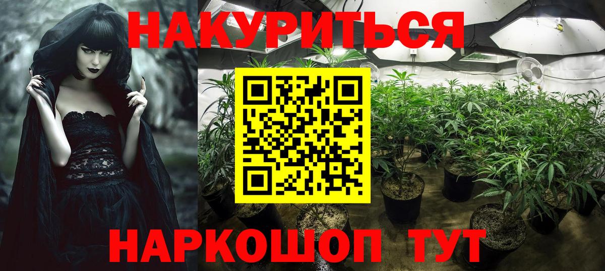 Бошки Шишки сатива Всеволожск